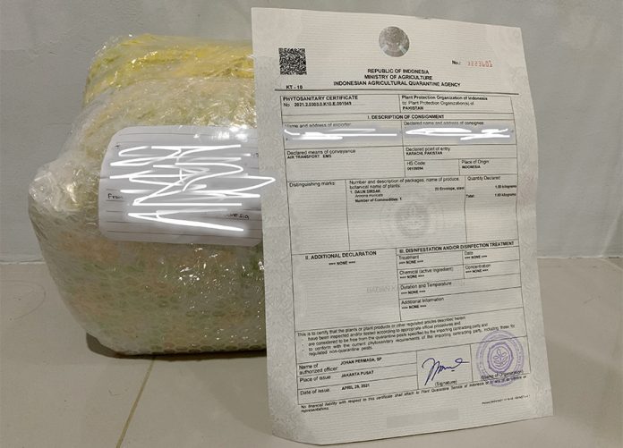 Paket dan Surat Karantina dari Balai Besar Karantina Pertanian Tanjung Priok